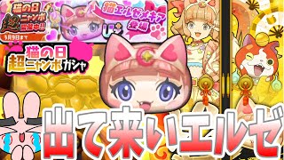 ぷにぷに『前の人気投票の意味あるん？ポカポカ超強化の猫エルゼメキア狙って猫の日ニャンボやってみた！』Yo-kai Watch