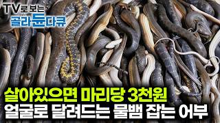 뱀이 득실거리는 호수에서 2박3일동안 물뱀잡는 사냥꾼의 하루｜뱀이 돈이 되는 나라｜극한직업｜#골라듄다큐