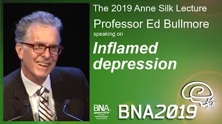 Ed Bullmore on 'Inflamed Depression' - The Anne Silk Lecture 2019