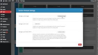 Using The Divi Circle Counter Module