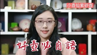 好壺必自語｜小壺仙紫砂壺　#好壺沒有正確答案 #好壺自己會說話