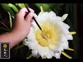 火龍果花縮時攝影 曇花一現 dragon fruit time lapse photography