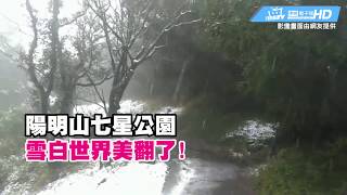 【即時影音】陽明山七星公園 雪白世界美翻了!