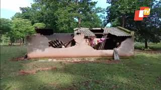 Elephants Destroy Houses In Mayurbhanj District