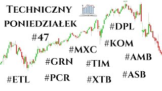 Techniczny Poniedziałek #47, TIM, XTB, Ambra, Maxcon, Asbis, Drozapol, Eurotel, Grodno, Rokita, KOM