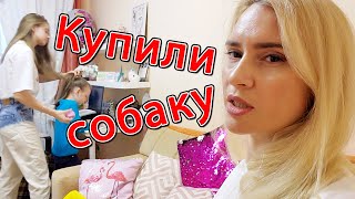 ВЛОГ: КУПИЛИ СОБАКУ!!!