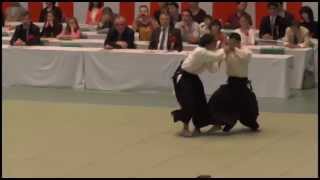 第５２回全日本合気道演武大会　入江嘉信師範　演武 Aikido 52th Irie Yoshinobu