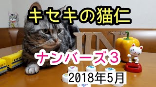 ナンバーズ３　キセキの猫仁　2018.5予想