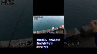 大磯港で魚を釣るための3つの方法 サビキ　サバ、イワシ、小アジ狙い #shorts