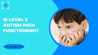 Is Level 2 Autism High Functioning?