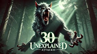 30 UNEXPLAINED Creature Attacks and Encounters! (COMPILATION)