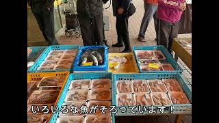 あさいち・加古川水産・月曜朝市