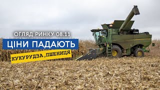 Ціни знову падають, як і обєм експорту. Аналіз ринку цін на кукурудзу та пшеницю