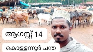 കൊള്ളന്നൂർ കാലിച്ചന്ത 14, 8,  2023 തിങ്കൾ # kollannuur#kali#chanda#