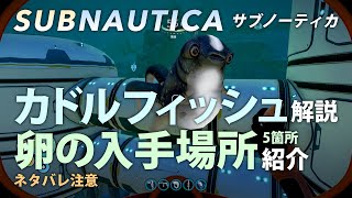 Subnautica カドルフィッシュ解説＆卵の入手場所5箇所紹介【ネタバレ注意】サブノーティカ攻略解説