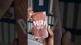 Pocky Chocolate Sticks