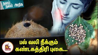 பல் வலி நீக்கும் கண்டகத்திரி புகை... அவசரகால தீர்வு! | Instant relief from Teeth Pain