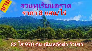 EP613.ขายสวนทุเรียนตราด ติดถนน 4 เลน ใกล้ทะเล วิวเขา 82 ไร่ สนใจติดต่อ 0981473498-0887902134