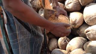 Coconut Processing for the export, bagerhat,Khulna,Bangladesh