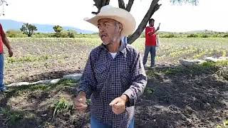 Observando La Asombrosa  Práctica De Buscar Agua