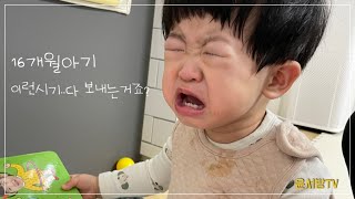 16개월아기 떼쓰는아이..육아란 원래 다 이런거죠...?/둘째임신/임신25주차