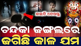 ଚନ୍ଦକା ଜଙ୍ଗଲରେ ଜଗୁଛି କାଳ ଯମ || Lord jaganath story odia || Real story odia