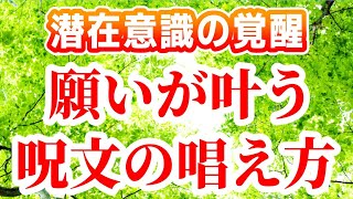 願いが叶う呪文の唱え方[潜在意識 覚醒 方法 ブロック解除 書き換え方 アファメーション 統合 引き寄せの法則 ハイヤーセルフ 波動 スピリチュアル パラレルワールド アセンション 願望実現 次元上昇