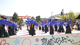 同志社大学よさこいサークル「よさ朗」 📍京都さくらよさこい (神宮道南会場) 2023-04-01T14:16