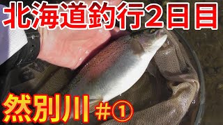 【渓流釣り】北海道渓流釣り２日目！その①然別川で大型ニジマスを狙う！川の規模に似合わずスケールがデカイ！