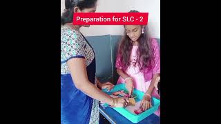 Preparation for SLC - 2 and NATIONAL SCIENCE DAY 2023