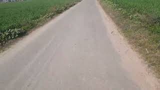 5.5 killa land for sale near Goraya for more information call 97810 17629 NK Choudhary Thanks