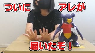 【実写】巨大な段ボールが家に届いたので開封してくよ！【開封動画】