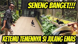 AKHIRNYA KETEMU TEMENNYA SI JULANG | SUMPAH INDAAH BANGET PARUHNYA