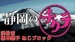 静岡のチカラ#20　2015/9/6放送　浜松市　ねじブロック