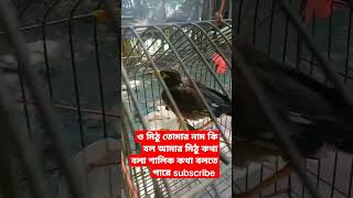 ও মিঠু তোমার নাম কি বল আমার নাম মিঠু তোমার নাম কি shalik pakhi brids hands #shalik_pakhi #brids2022