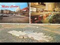 The History of Metrocenter Mall in Phoenix Arizona.