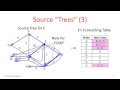 Week 5 - Equal Cost Multi Path Routing