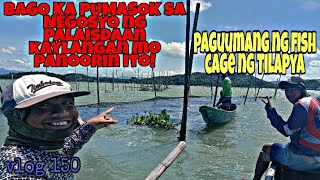 NEGOSYONG PALAISDAAN FISH CAGE /  PAG UUMANG NG FISH CAGE / TALIM PH VLOG 150