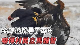 金雕瘋狂追殺男子兩年不放，原因揭曉，嚇得村民立馬報警！