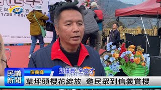 1140124 南投縣議會 民議新聞 草坪頭櫻花綻放 邀民眾到信義賞櫻(縣議員 全文才)