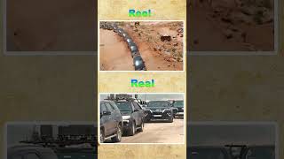 CM Jagan Convoy Reel and Real | #cmjagan #ysrpolavaram @jaganekavali