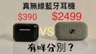 Sabbat E12 VS Sennheiser Momentum True Wireless ,平價與高價真無線藍牙耳機，到底有咩分別？