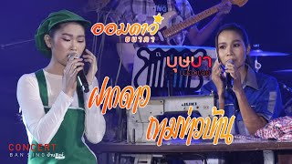 Cover Version เพลง ฝากดาวถามข่าวบ้าน - บุษษา ft ออมดาว「บ้านสิงห์ Liveตอน S - PEAK #5」