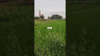 कितना खूबसूरत है ये गांव🦜🌾🌳🌳🦚