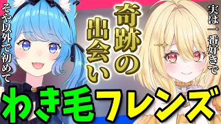 【切り抜き】宗谷いちかと日向ましゅ、脇毛好きが出会う奇跡【ななしいんく切り抜き／VTuber切り抜き】