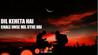 Dil Kehta Hai -Female version lyrics song l Akele Hum Akele Tum - Dil Kehta Hai full song an_emotion