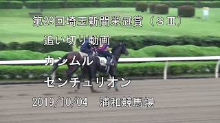 第29回埼玉新聞栄冠賞（ＳⅢ）追い切り動画　カンムル、センチュリオン　おまけ新パドック。　2019/10/04　浦和競馬場