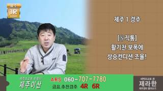 제주이산0226금