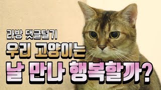 [ENG SUB] [라방 서머리] 고양이가 나를 사랑한다는 증거