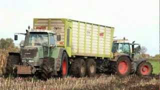 Maize, Mud, some Rain and a Claas Jaguar on tracks!